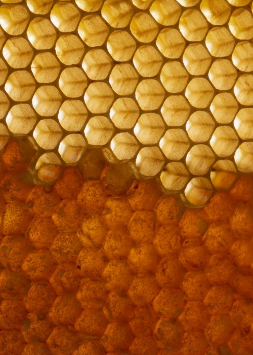 yellow honeycomb texture